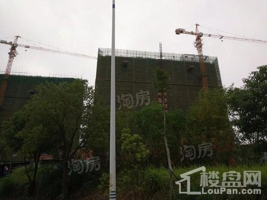 红星天铂实景图