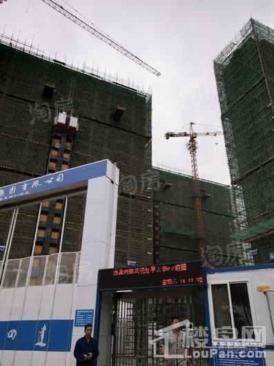 红星天铂实景图