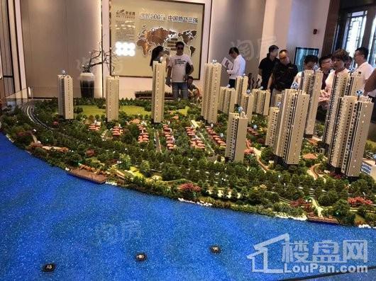 碧桂园凤凰湾实景图