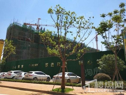 金辉优步湖畔实景图