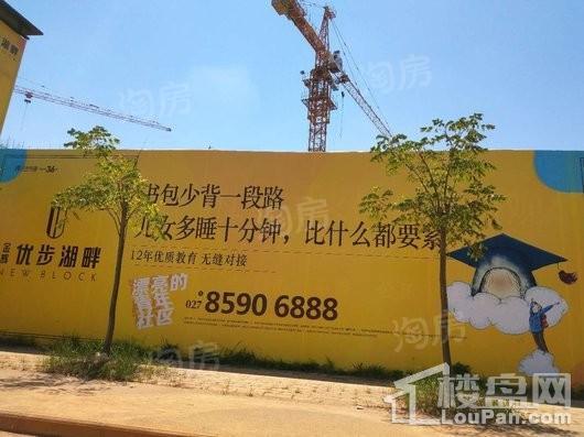 金辉优步湖畔实景图