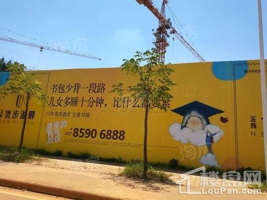 金辉优步湖畔实景图