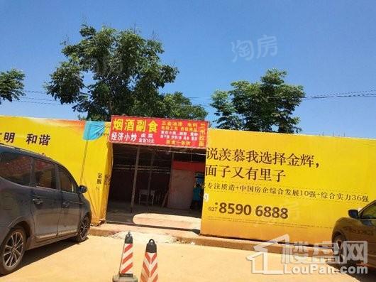 金辉优步湖畔实景图