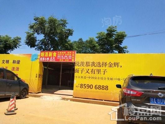 金辉优步湖畔实景图