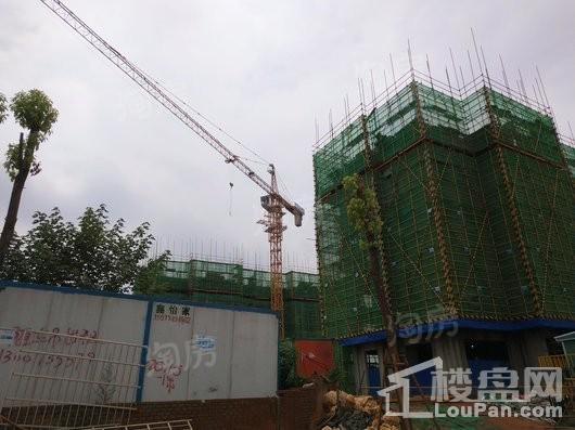 华发峰尚实景图