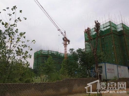 华发峰尚实景图