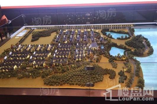 泰禾知音湖院子实景图