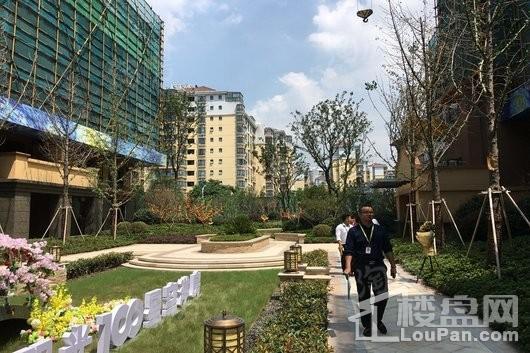 阳光100阿尔勒实景图