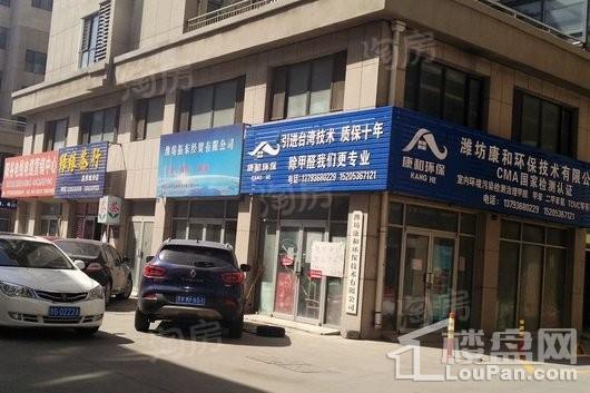 潍亭府配套图