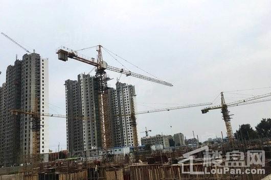 金庆桂花园实景图
