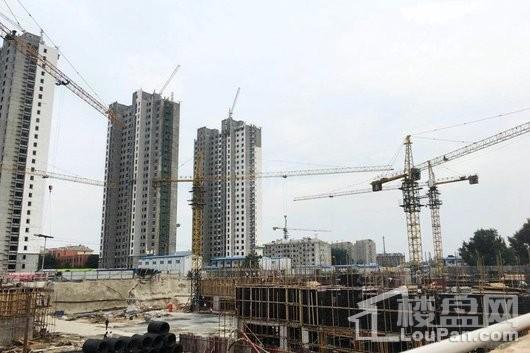 金庆桂花园实景图