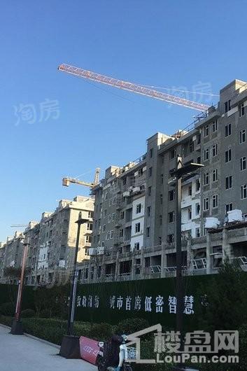 澳城花园实景图