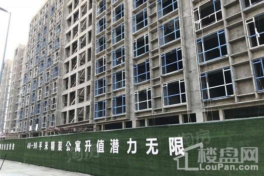 滨海87号实景图