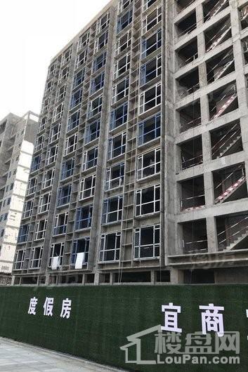 实景图