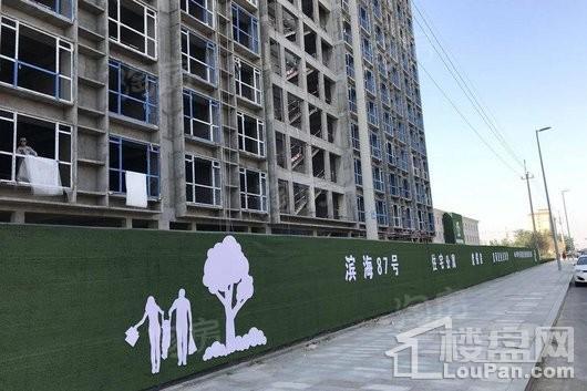滨海87号实景图