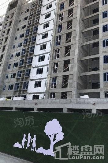 滨海87号实景图