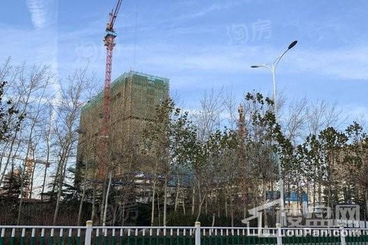 碧桂园桃李东方实景图