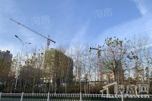 碧桂园桃李东方实景图