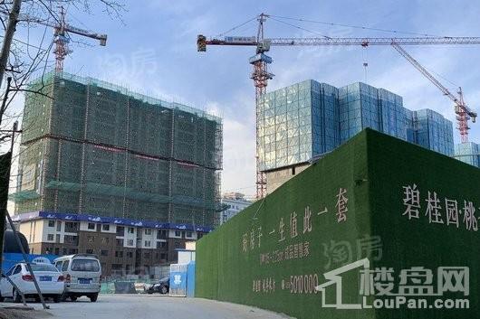 碧桂园桃李东方实景图