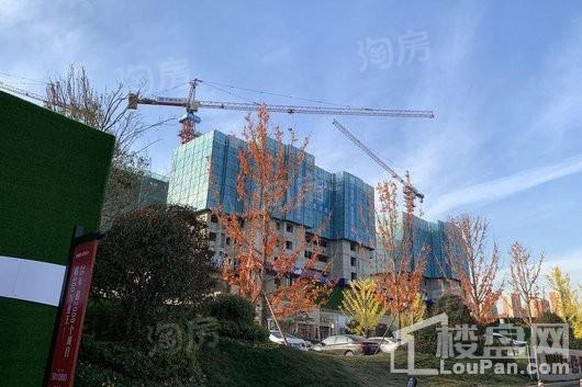 碧桂园桃李东方实景图