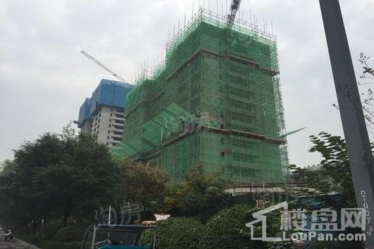 银领国际实景图