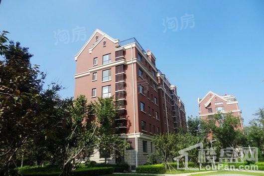 华安泰晤士小镇实景图