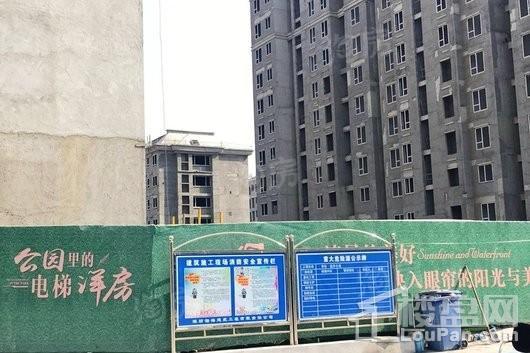 恒信温莎公馆实景图