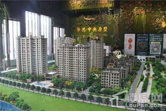 平阳华鸿中央原墅实景图
