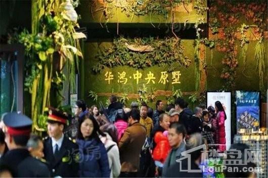 平阳华鸿中央原墅效果图