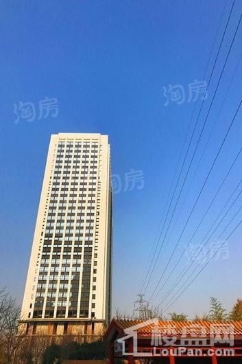 旭弘同德国际实景图