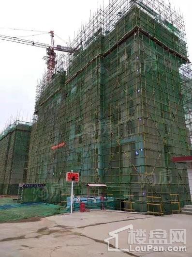 栖霞·中央花园实景图