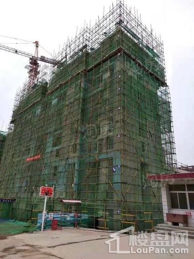 栖霞·中央花园实景图