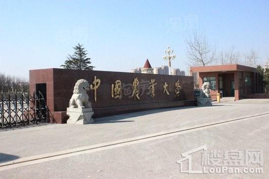 力高阳光海岸商铺配套图