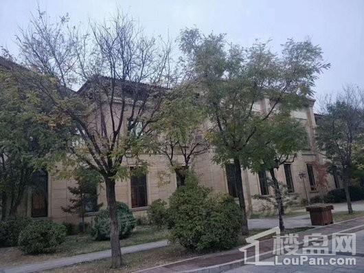 阳光首院商铺实景图