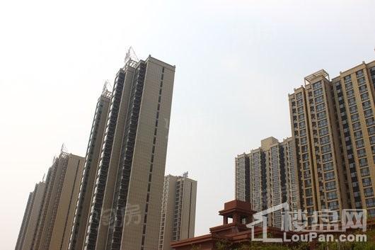 阳光鑫城实景图