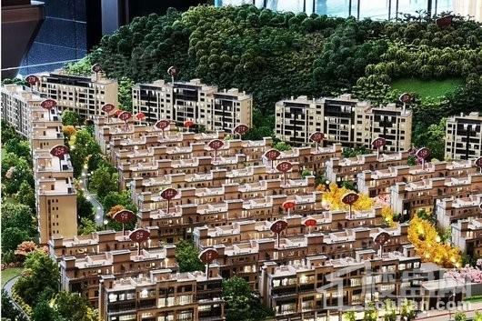 实景图