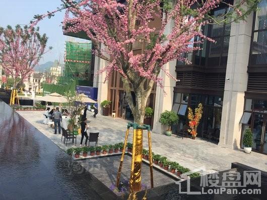 美的荣安公园天下实景图