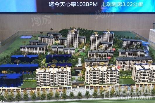 金科美的碧桂园金辉曲建礼悦江山实景图