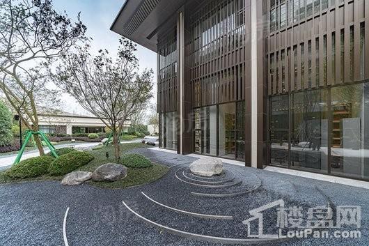 金科美的碧桂园金辉曲建礼悦江山实景图