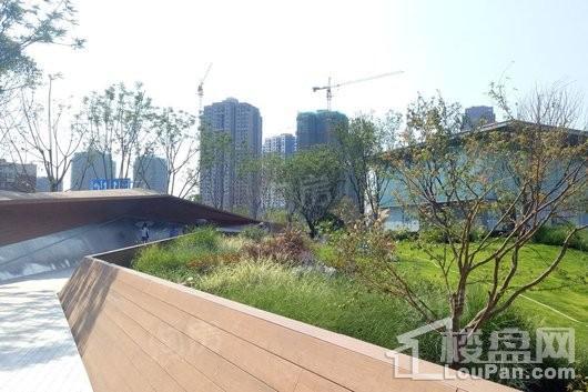 龙湖·景粼玖序实景图