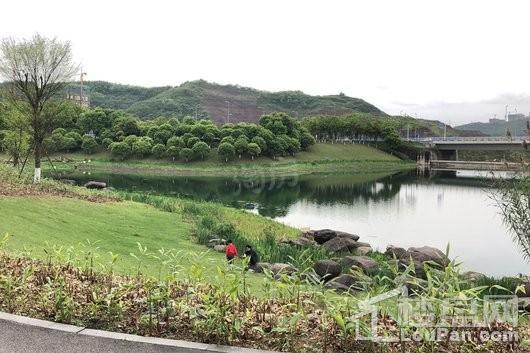 龙湖·景粼玖序配套图