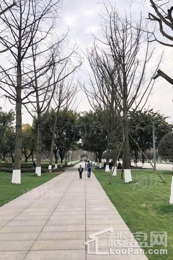 龙湖·景粼玖序配套图
