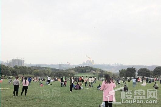 龙湖·景粼玖序配套图