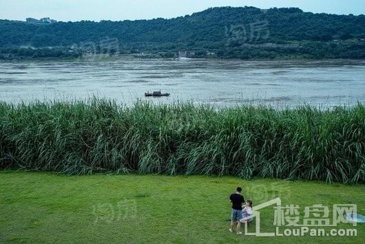 华宇龙州府配套图