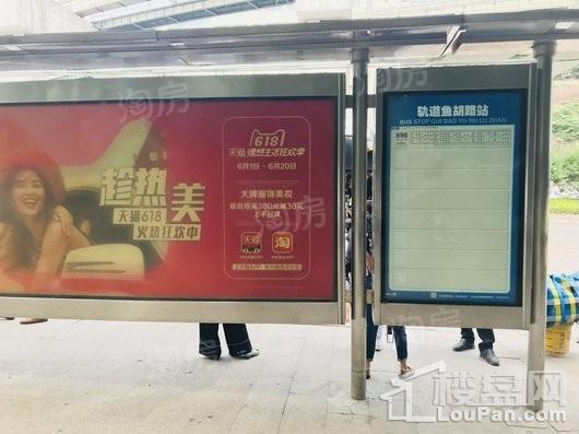 新城金樾府配套图