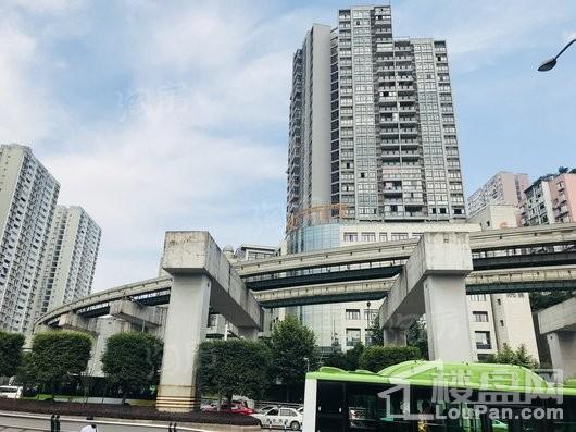 新城金樾府配套图