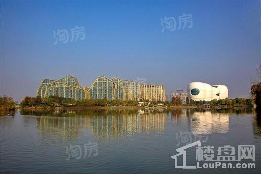 金地滨江万科悦虹湾配套图