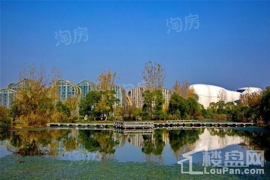 金地滨江万科悦虹湾配套图