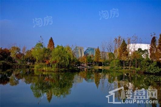 金地滨江万科悦虹湾配套图