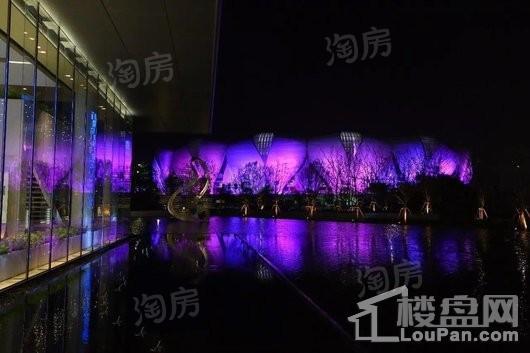 杭州壹号院实景图
